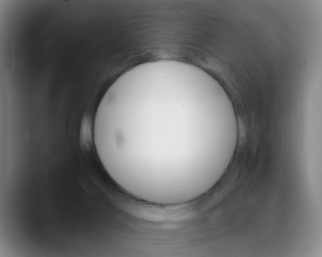 X0000090740028200707201021