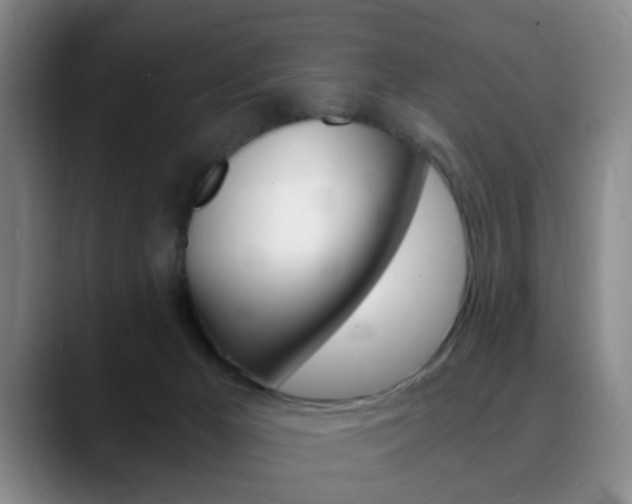X0000090740029200707201021