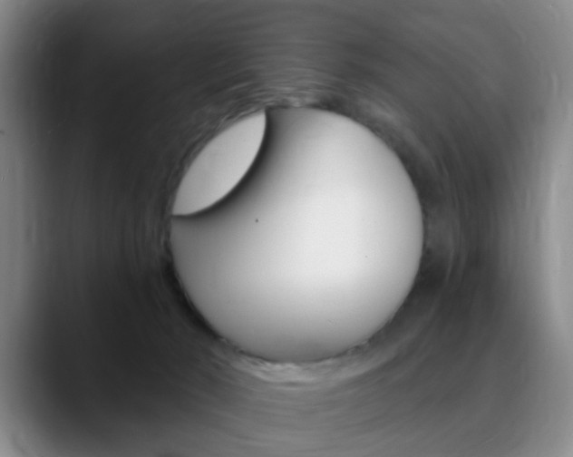 X0000090740030200707201021