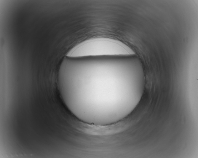X0000090740034200707201021