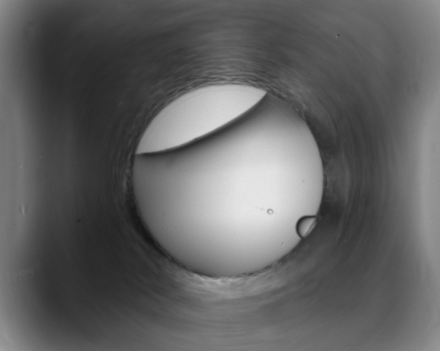 X0000090740038200707201021