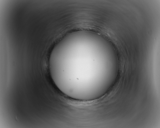 X0000090740040200707201021
