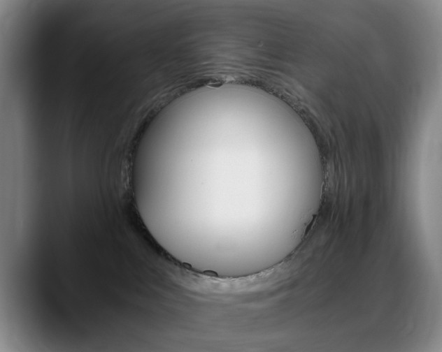 X0000090740043200707201021