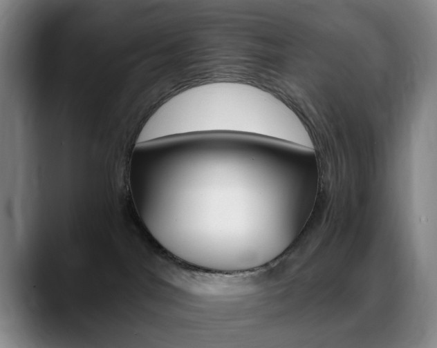 X0000090740044200707201021
