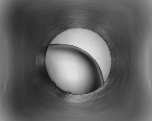 X0000090740045200707201021
