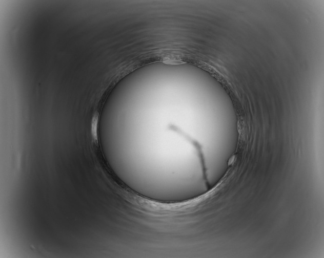 X0000090740047200707201021
