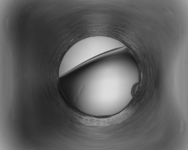X0000090740048200707201021