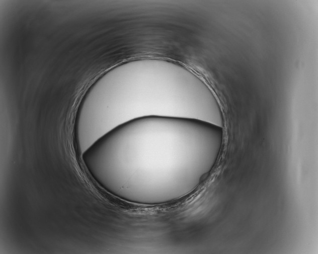 X0000090740049200707201020
