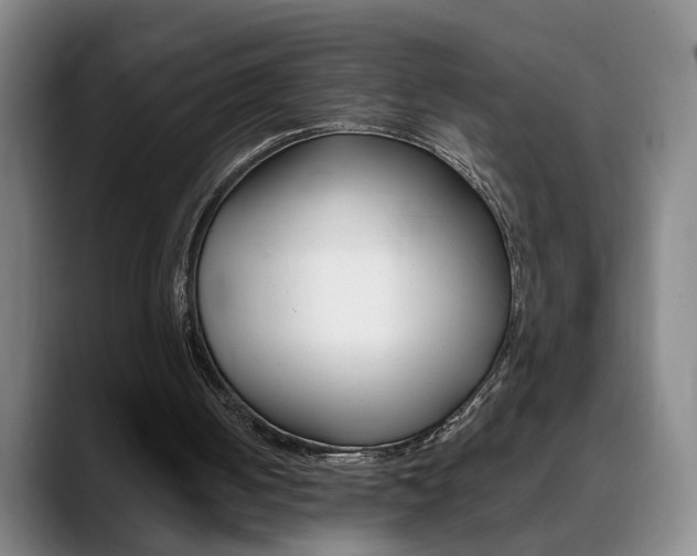 X0000090740050200707201020
