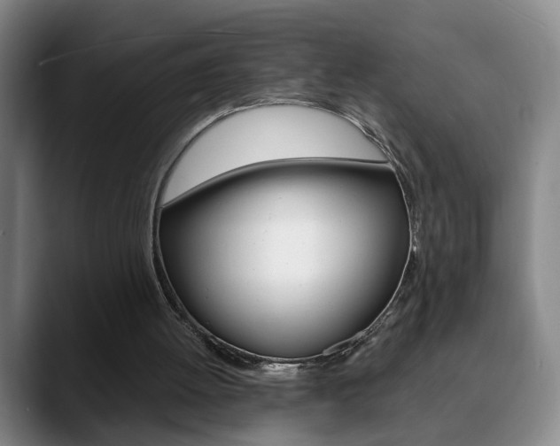X0000090740052200707201021
