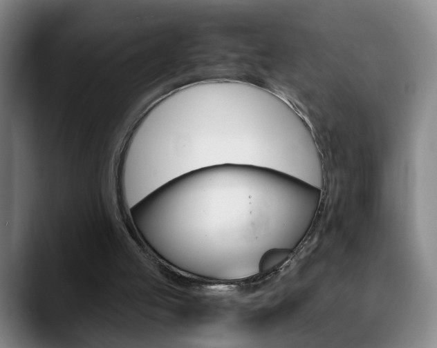 X0000090740053200707201021