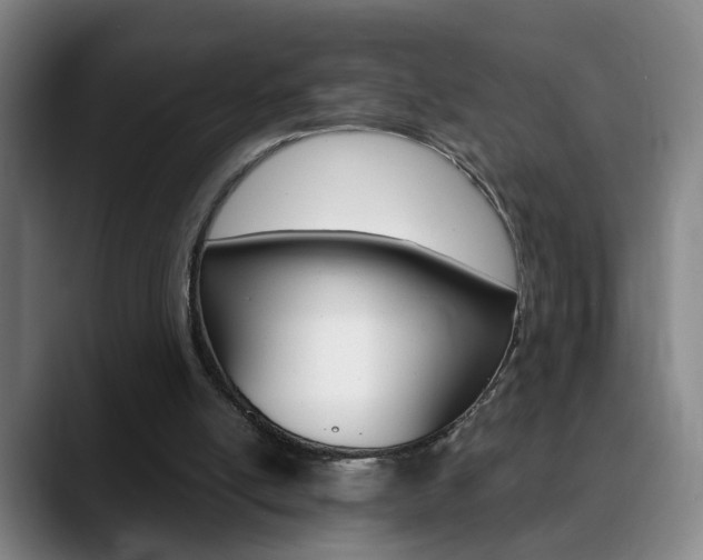 X0000090740054200707201021