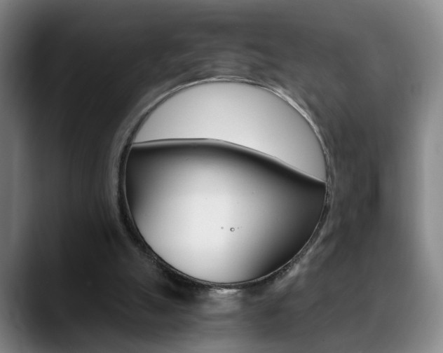 X0000090740055200707201021