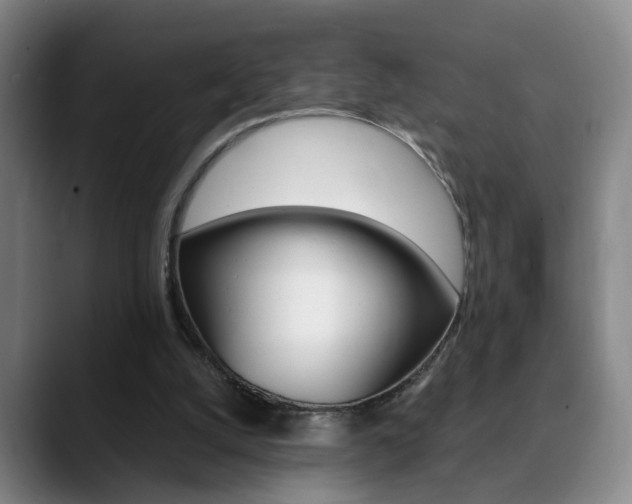 X0000090740056200707201021