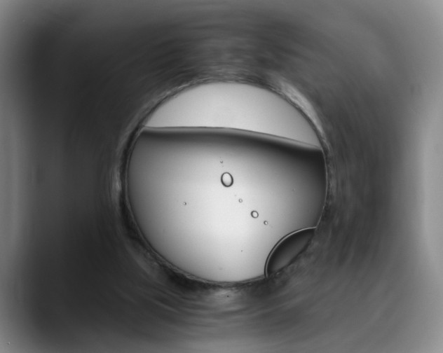 X0000090740059200707201021