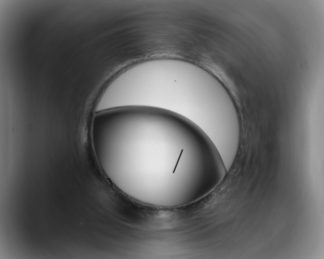 X0000090740060200707201021
