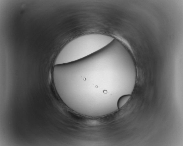 X0000090740061200707201021