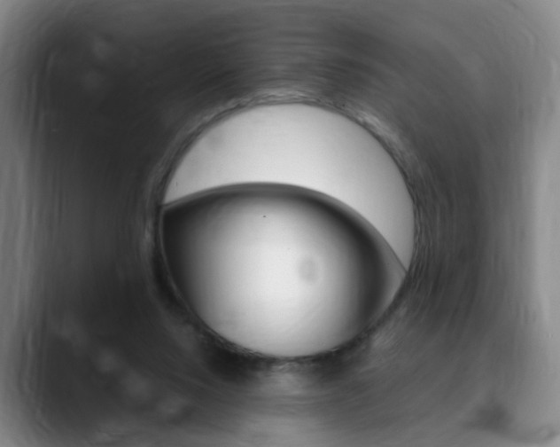X0000090740064200707201021