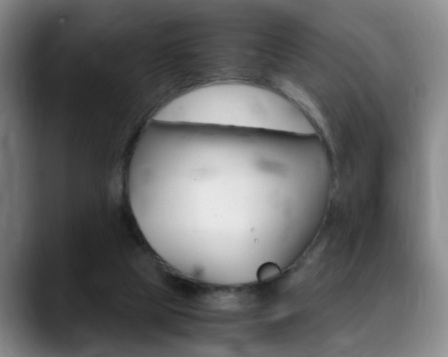 X0000090740065200707201021