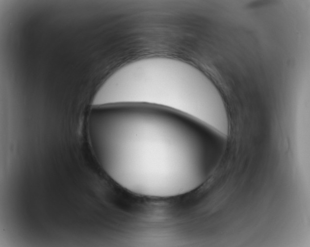 X0000090740066200707201021