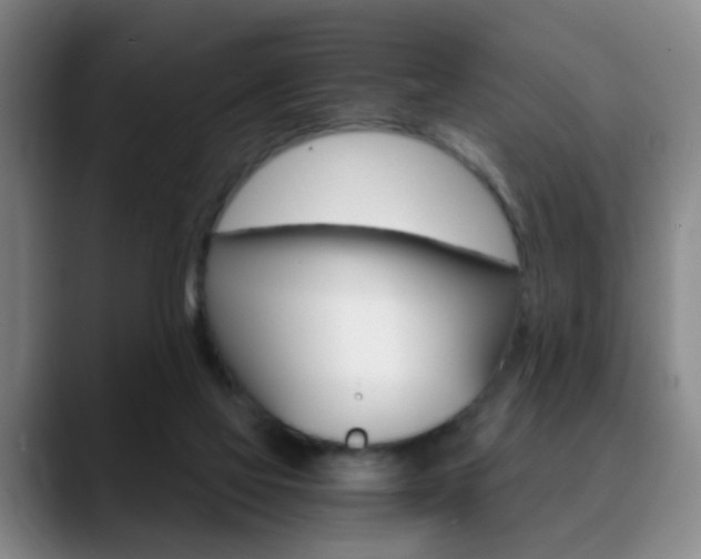 X0000090740069200707201021