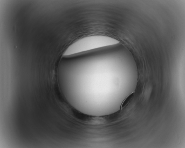 X0000090740087200707201021