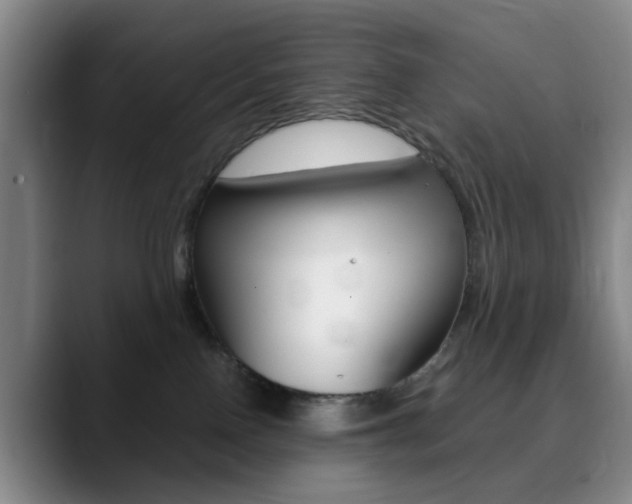 X0000090740090200707201021