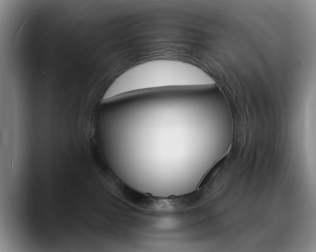 X0000090740091200707201021