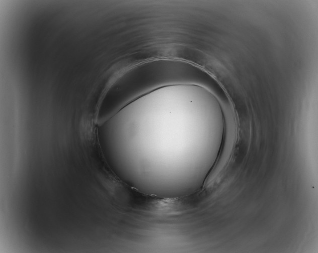 X0000090740092200707201021