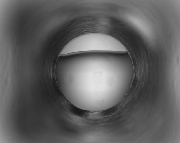 X0000090740093200707201021