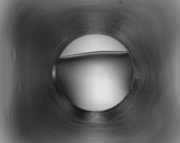 X0000090740095200707201021