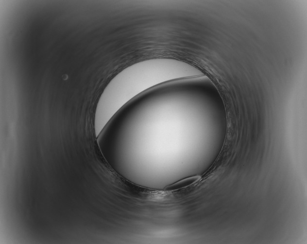 X0000090740096200707201021