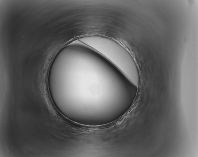 X0000090740097200707201020