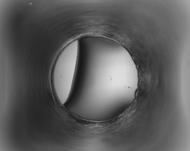 X0000090740100200707201020