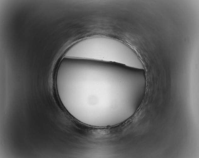 X0000090740102200707201020