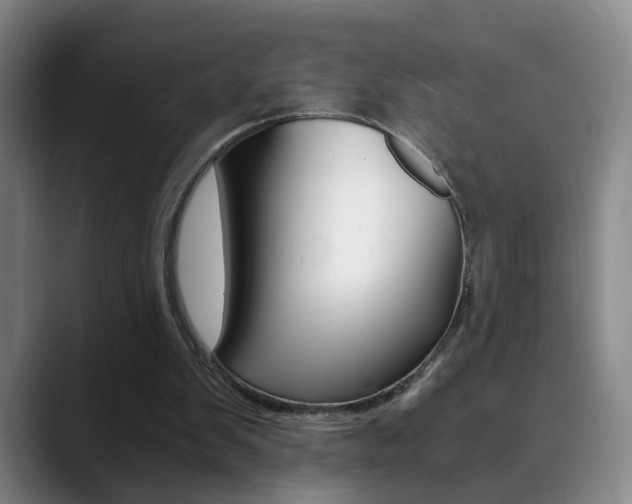 X0000090740103200707201020