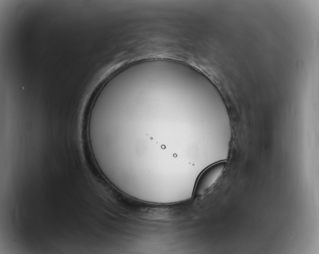 X0000090740104200707201020