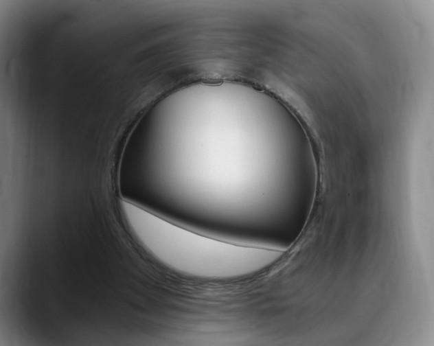 X0000090740105200707201020
