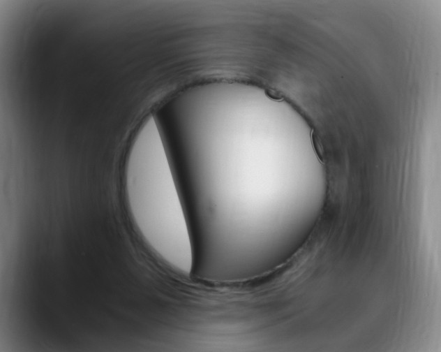 X0000090740111200707201020