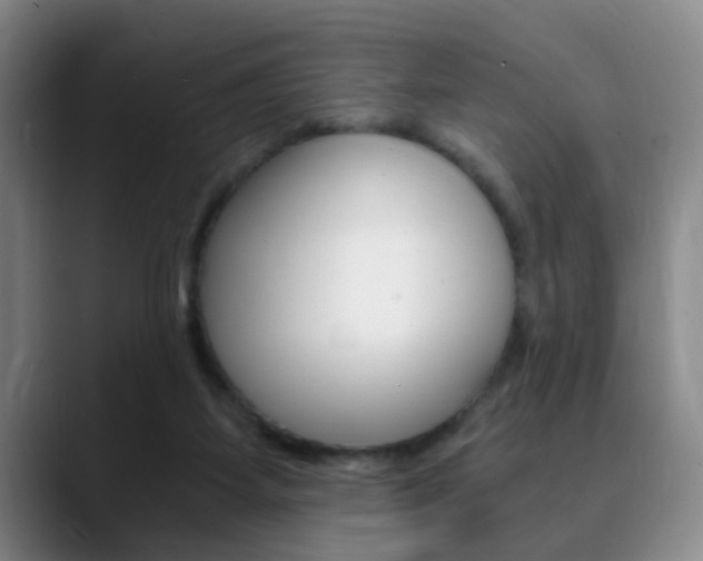 X0000090740115200707201020