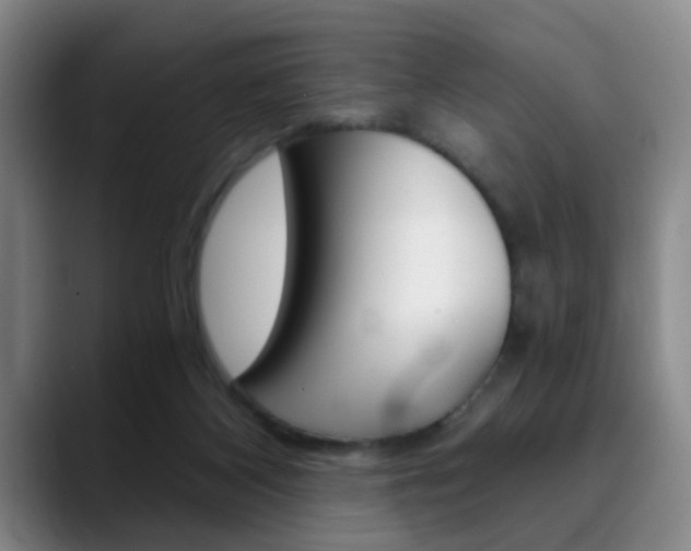 X0000090740116200707201020