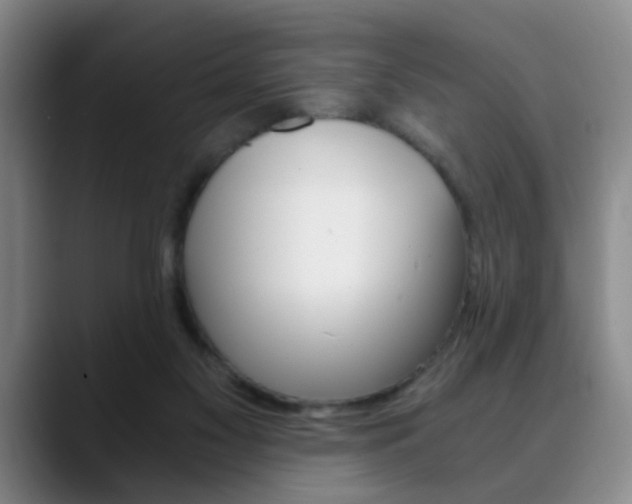 X0000090740117200707201020