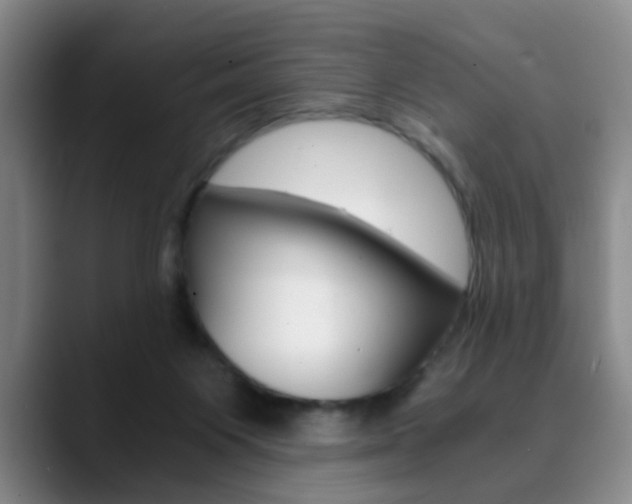 X0000090740119200707201020