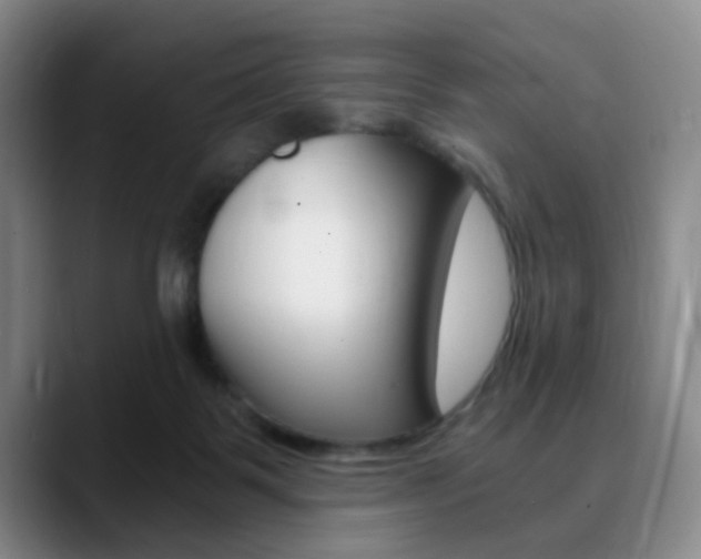 X0000090740123200707201020