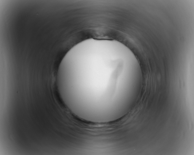 X0000090740129200707201020