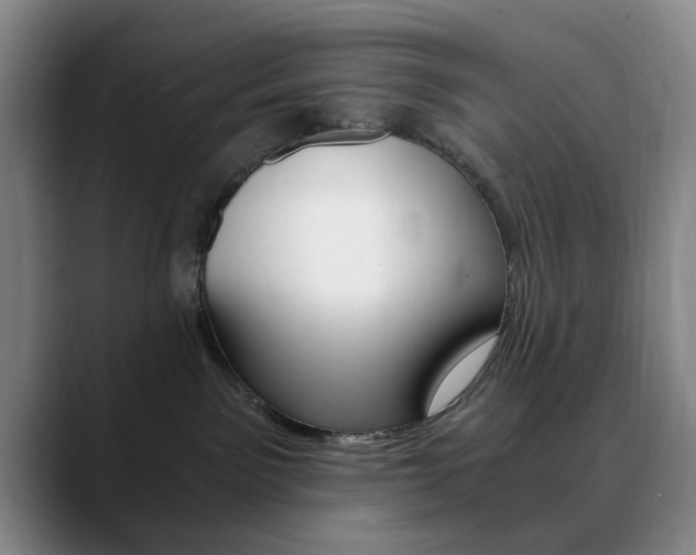 X0000090740141200707201020