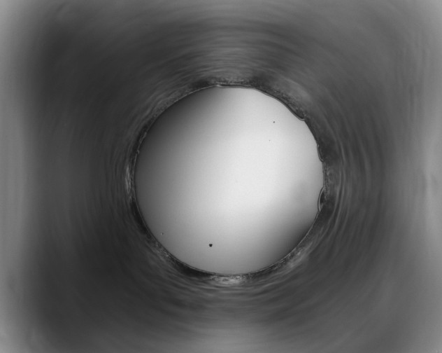 X0000090740143200707201020