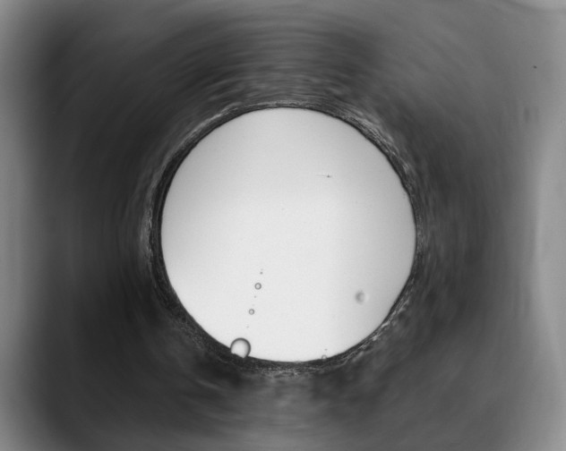 X0000090740146200707201019