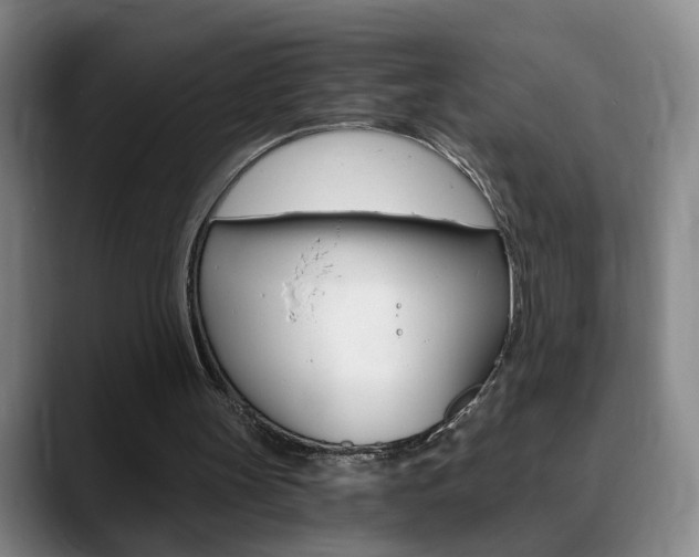 X0000090740147200707201019