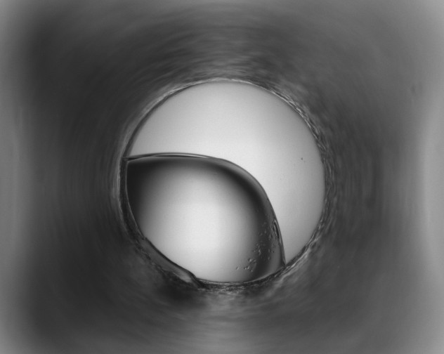 X0000090740148200707201019
